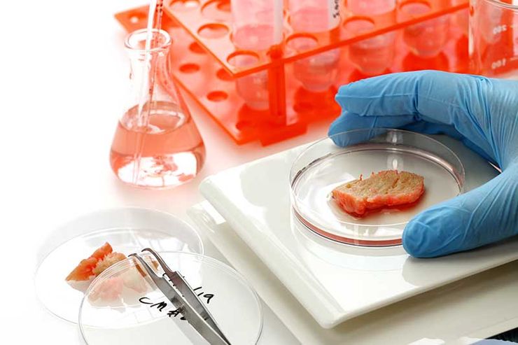 Testiranje veštačke hrane Foto: Youtube/prinscreen