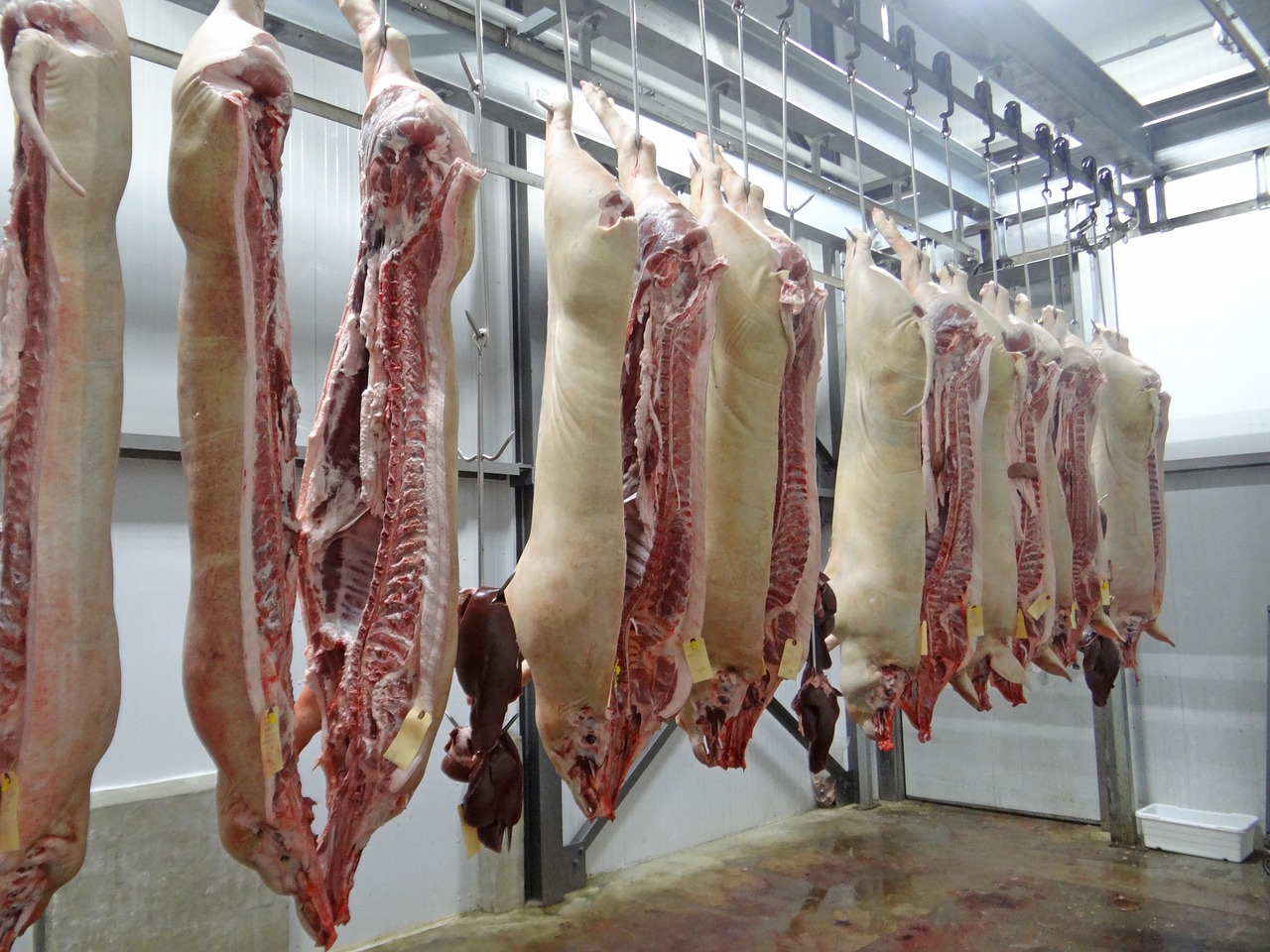 Evropljanima meso sve veći luksuz Evrostat: Cene u EU više za 3,3 odsto nego pre godinu dana! Mesari svinjetinu najviše „zabiberili“