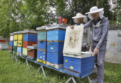 ДА ЛИ ЋЕ ОВА ГОДИНА БИТИ МЕДОНОСНА? Добра зима вратила наду у родну сезону, али СТРАХ од старих ПРОБЛЕМА остаје