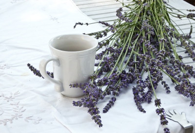 ПО ФЕНГ ШУИЈУ ОВО ЈЕ НАЈМОЋНИЈЕ МЕСТО У КУЋИ Лаванда брише негативну енергију и уноси мир