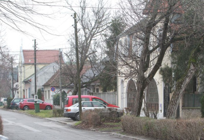 НОВОСАЂАНИ У ШОКУ Ласица се слободно шета градом СНИМЉЕНА НА САЛАЈЦИ (ВИДЕО)