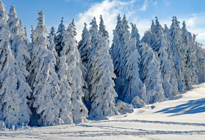 (ВИДЕО) Аутомобили буквално миле СНЕГ И ЛЕД ПАРАЛИСАЛИ САОБРАЋАЈ НА ОВОЈ СРПСКОЈ ПЛАНИНИ Формирале се КОЛОНЕ возила, возачи излазе из кола јер ВОЖЊА НИЈЕ БЕЗБЕДНА