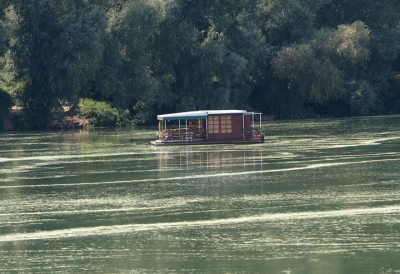 (ВИДЕО) Упецао капиталца, пољубио га и вратио у Тису! ЗРЕЊАНИНАЦ НИКОЛА "ЗАКАЧИО" ШАРАНА ОД 26 КИЛОГРАМА: Улепшао си ми дан, иди и пливај, жив ми био!