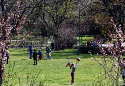 У СРБИЈИ ТОКОМ ДАНА ПРАВО ПРОЛЕЋЕ! Тремепратура ће ићи до ОВОГ подеока