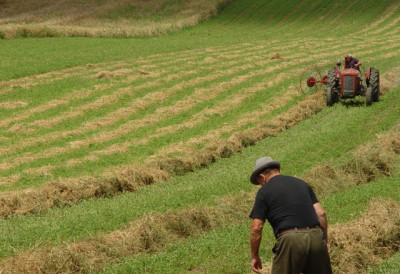 НОВАЦ ЗА СЕЛО И ПРОИЗВОДЊУ Потписани уговори вредни 199 милиона, ПОЈАЧАНА ЗАШТИТА УСЕВА