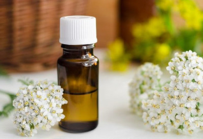 РЕШАВА УКОЧЕНОСТ И БОЛ У ЛЕЂИМА Ову лековиту биљку су данас многи заборавили, а идеалан је мелем за болове