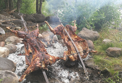 ВЕГАНИ ДИГЛИ ГЛАС У центру Атине одржан протест против масовног клања јагњади пред Ускрс
