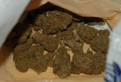 КИКИНЂАНИНУ ОДРЕЂЕН ПРИТВОР ДО 30 ДАНА Пао са скоро 14 килограма канабиса