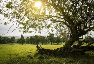ОБЛАЦИ СЕ ЛАГАНО ПОВЛАЧЕ У Србији данас ведрије и суво, температура до 17 степени ЕВО ГДЕ ЋЕ БИТИ ЈОШ МАЛО КИШЕ