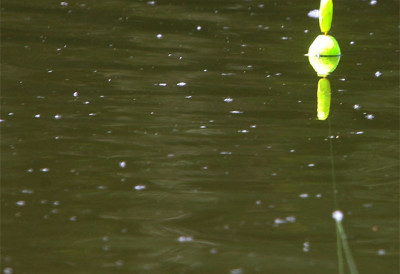 УЛОВЉЕН КОЛОС ОД 90 КИЛА Билећанин Марко упецао ”мршаву” громаду од сома (ФОТО)