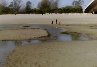 Последице великог топлотног таласа и ниског водостаја: Не препоручује се конзумирање уловљене рибе