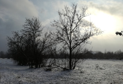 (ФОТО) ЗАБЕЛЕЛА СЕ И ШУМАДИЈА Снег отежава саобраћај у Тавнику! РХМЗ издао НОВО УПОЗОРЕЊЕ: Следи ХАОС због ОВЕ ПОЈАВЕ, нека се спреми Војводина!