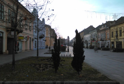 САЛОНСКИ СТАНОВИ И КУЋЕ СА ДУШОМ, А КВАДРАТ 800 ЕВРА Овај војвођански градић осваја купце некретнина