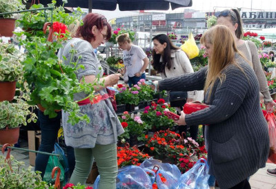 ОВО СЕ НЕ ПРОПУШТА Богата понуда садница и јединствена размена старог папира за биљке испред Спенса