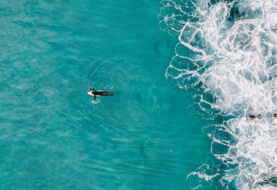 ГПС ЗА МОРСКА СТВОРЕЊА У седиментима са дна северног Атлантика откривен снажно намагнетисан фосил