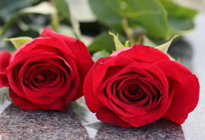 ИЗ МАТИЧАРСКОГ ЗВАЊА: Умрли