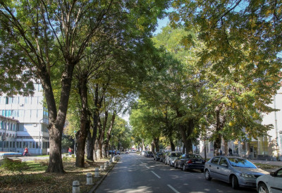 РАДОВИ НА НОВОЈ ВОДОВОДНОЈ МРЕЖИ У КУЛИ КРЕЋУ Потписан уговор вредан 287 милиона, прикључци стижу за 751 домаћинство!