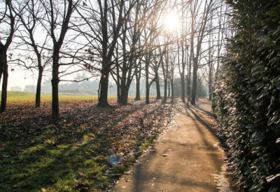 ПОЧЕТАК ДЕЦЕМБРА ЋЕ ВАС ИЗНЕНАДИТИ Стрпите се још мало, неће ни ова хладноћа још дуго АНТИЦИКЛОН ДОНОСИ ПРИЈАТНО ОТОПЉЕЊЕ