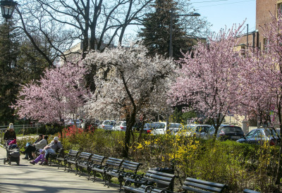 ДАНАС СМЕНА СУНЧАНИХ ПЕРИОДА И ОБЛАКА Време нестабилно, али пријатније ЕВО ШТА НАС ЧЕКА НАРЕДНИХ ДАНА