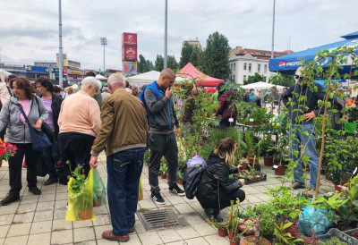 НОВОСАДСКА ЦВЕТНА ПИЈАЦА ДАНАС ОТВАРА СЕЗОНУ Мириси и боје пролећа на платоу испред Спенса