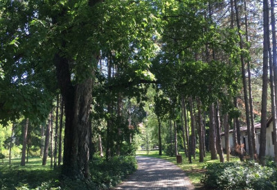 „Да заједно сачувамо природне ресурсе“ САРА ПАВКОВ ПОЗВАЛА ЛОКАЛНЕ САМОУПРАВЕ ДА ИСКОРИСТЕ ПРИЛИКУ Расписан јавни конкурс за суфинансирање пројеката озелењавања и заштите земљишта