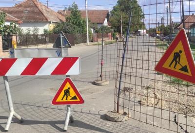 ВОЗАЧИ, ОПРЕЗ И СТРПЉЕЊЕ Сређује се пут према Апатину, на излазу из Сомбора