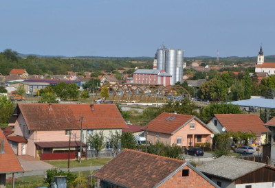 „СРБИЈА МЛАДИМА НИЈЕ АЛТЕРНАТИВА ВЕЋ ИЗБОР, ЗЕМЉА КОЈОЈ СЕ ВРАЋА“ Милићевић разговарао са Ирижанима