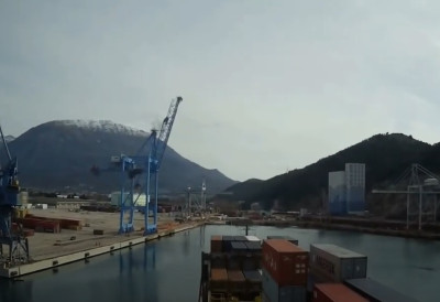 УПЛОВИО У ЛУКУ КО ГОСПОДИН У Бар стигао неочекивани посетилац НЕМА КО МУ СЕ НИЈЕ ОБРАДОВАО (ВИДЕО)