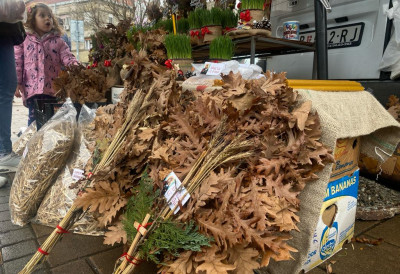 ПРЕ СЕЧЕ БАДЊАКА ДОМАЋИН МОРА ОВО ДА УРАДИ Ево када идемо по храстове гране