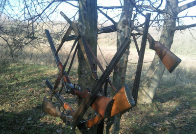 ЛОВАЦ СЛУЧАЈНО УСМРТИО КОЛЕГУ ХИЦЕМ У ГЛАВУ Трагедија у чешком ловишту