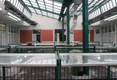 КРЕЋЕ ЈАВНА ЛИЦИТАЦИЈА НА ПИЈАЦАМА У НОВОМ САДУ Ево како можете да закупите пословни простор