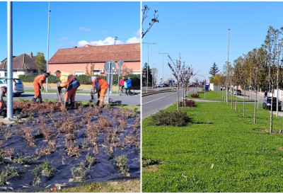 ПРИ КРАЈУ ИЗГРАДЊА БУЛЕВАРА ВУКА КАРАЏИЋА У РУМИ Клупе и стотину садница за модеран изглед