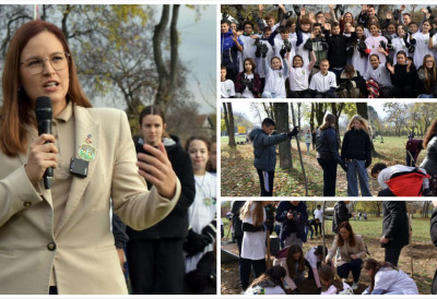 У СОМБОРУ ЗАСАЂЕНО ВИШЕ ОД 120 САДНИЦА Павков: Ускоро креће велики капитални пројекат yза овај град