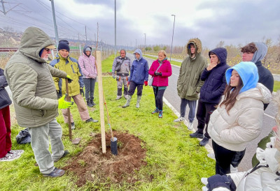 СРЕМСКИ КАРЛОВЦИ У ЗЕЛЕНОЈ МИСИЈИ За "Дрвеће пријатељства" 50 нових садница