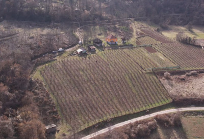 ЖИВОТ СЕ ВРАЋА У ОВО СЕЛО Обнавља се запуштен и оронуо дом у Обајгори код Бајине Баште! Биће то МЕСТО НОВИХ ДРУЖЕЊА и сеоских догађаја