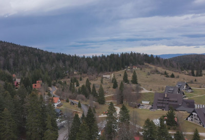 ПОЖАРИ СВЕ ЧЕШЋИ НА СРПСКОЈ ПЛАНИНСКОЈ ЛЕПОТИЦИ Шумама на Тари прете и климатске промене и нехат људи, чувари природе чине све што је у њиховој моћи