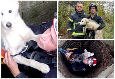 ХУМАНИ ВАТРОГАСЦИ: Из бунара дубљег од 15 метара спасили изгубљено штене (ФОТО)