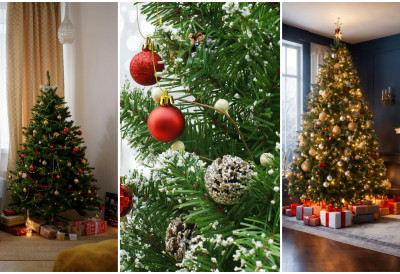 ПО ФЕНГ ШУИЈУ ЈЕЛКА ИМА ИДЕАЛНО МЕСТО Ево како да вам привуче здравље, радост и благостање