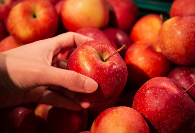 НАЈВЕЋУ КОРИСТ ОД ЈАБУКЕ ИМАЋЕТЕ ако је једете у ОВО ВРЕМЕ! Помоћи ће варењу, пробави и контроли шећера у крви