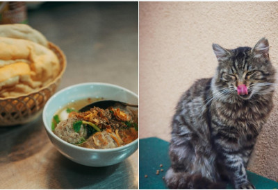 ВОЈВОЂАНСКО ЈЕЛО КОЈЕ МИРИШЕ НА НОСТАЛГИЈУ Готово за пола сата, прави је мелем за црева Ово је СТАРИНСКИ РЕЦЕПТ за чувене флекице с купусом