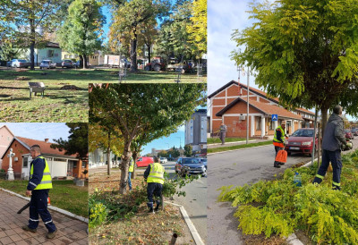 ЗА ЛЕПШУ И БЕЗБЕДНИЈУ СТАРУ ПАЗОВУ  У току јесење уређивање зеленила