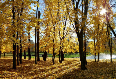 СРБИЈУ ДАНАС ЧЕКА ЛЕП ЈЕСЕЊИ ДАН Температура ће ићи и до 22 степена ИСКОРИСТИТЕ ВИКЕНД ЈЕР ОД ПОНЕДЕЉКА СЕ СВЕ МЕЊА