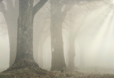 ВОЗИЛА МИЛЕ НА ОВОЈ ДЕОНИЦИ Иришки венац код Новог Сада прекрила густа магла БУКВАЛНО СЕ НЕ ВИДИ ПРСТ ПРЕД ОКОМ (ВИДЕО)