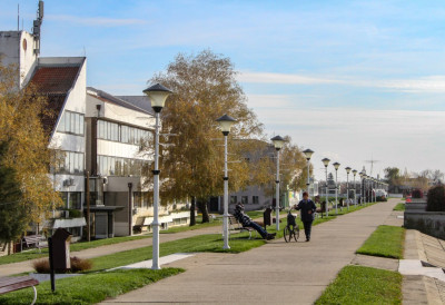 НОВИ БЕЧЕЈ ОДАЈЕ ПОЧАСТ ВЕЛИКОМ ГЛУМЦУ Откривена биста Славку Симићу