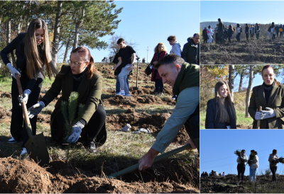 МИНИСТАРКА САРА ПАВКОВ УЧЕСТВОВАЛА У САДЊИ 3.500 МЛАДИЦА ЦРНОГ БОРА У ВРАЊУ За бољи ваздух, рекреацију и одмор крај Александовачког језера