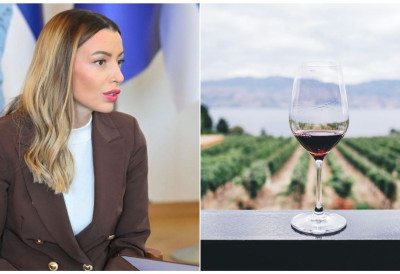 ПОСЕБНА ПОДРШКА ВИНАРИМА, ЕВО КОЛИКИ ЋЕ БИТИ ПРОЦЕНАТ БЕСПОВРАТНИХ СРЕДСТАВА Министарка Месаровић о запаженом конкурсу: Определили смо 150 милиона динара