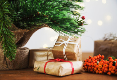 Мислите на време ОВО ЈЕ САВРШЕН НОВОГОДИШЊИ ПОКЛОН ЗА СВАКИ ЗНАК ЗОДИЈАКА