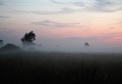 ЈУТРО МАГЛОВИТО, ДАН СУНЧАН Ево какво време нас чека СУТРА