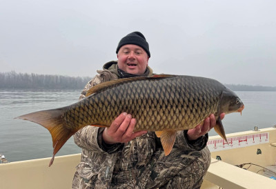 РАПОРТ С ВОДЕ Кад се вратиш после дуже паузе, а награда дође у виду шаранчине од 7,5 кила