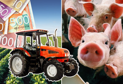 НА РАЧУНИМА ПОЉОПРИВРЕДНИКА ВИШЕ ОД 100 МИЛИЈАРДИ ДИНАРА Ево које су субвенције у питању и ко све има право да конкурише